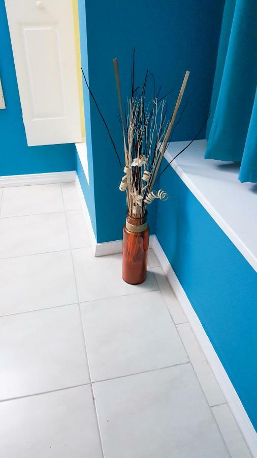 Donhead New Kingston Apt 5 Экстерьер фото
